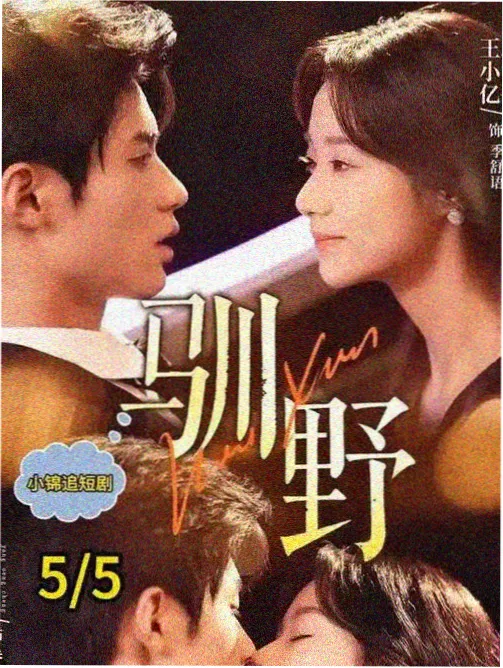 高清电视剧《不眠海岸线》谍战剧海报